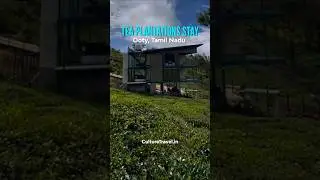 Best Resorts in Ooty | Budget Friendly Resorts In Ooty | Ooty stay for couples | Ooty staycation