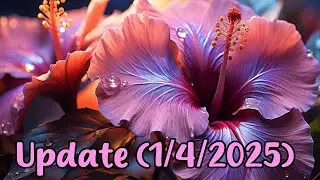 Channel Update | 1/4/2025