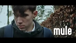Mule | Short Film