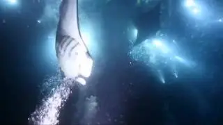 Deep Blue Nothing