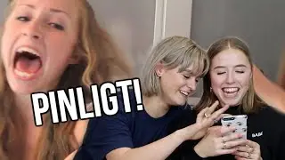 VORES PINLIGSTE VIDEOER
