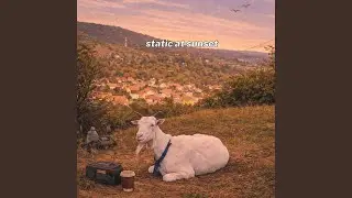 Coffee Goat