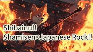 🔥 Shiba Inu × Shamisen: Fiery Japanese Rock Performance! 🔥