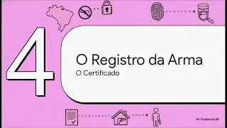 Desconstruindo a lei do desarmamento. Aula 01