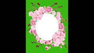 Flower Green Screen Animation | Green Screen Effects | Wedding Invitation Template | Flower Blooming