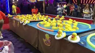 Day at the OC Fair 2018
