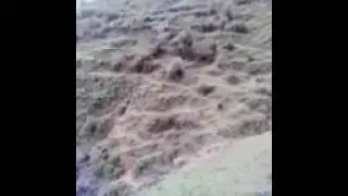 Sunil Kaushal