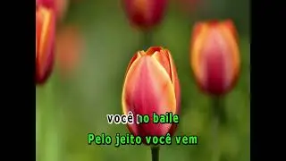 15590 - Paula Lima - QUERO VER VOC&Ecirc; NO BAILE -==Karaoke&ndash;Videoke &ndash; Playback - Raf electronics