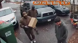 Falso Repartidores de UPS roban  una casa y acaban con la vidad de 3 adultos al  frente de 2 bebes 