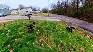 Our walk after work 