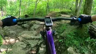 Coler MTB Preserve - Oscar's Loop