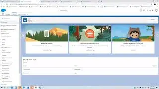 Salesforce.com Admin/App builder Quarantine Workshop Day 2