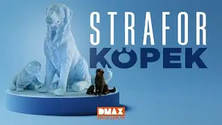 Strafor K&ouml;pek Nasıl Yapılır?