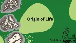 Origin of Life