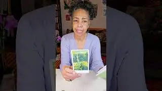 CAPRICORN Message - PACIFIC TAROT