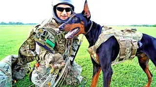 DOG SKYDIVES!!! K9 