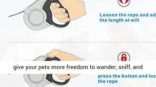 Heavy Duty Retractable Dog Leash for Small and Medium Dogs
