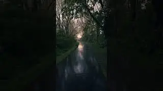 Soft Night Rain | No City Noise ASMR Live