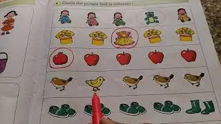 CIRCLE THE DIFFERENT OBJECT