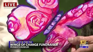 Rotary Club's 18th annual Wings for Change fundraiser supports Colorado Springs' schools