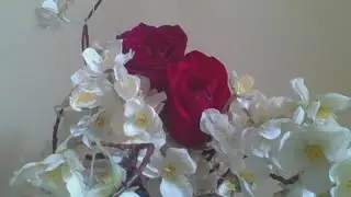 WENSDAY LS SALAMAT SA MGA PAPASOK...