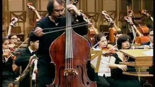 P.I. Tchaikovski -Variations on Rococo Theme op.33  - Petru Iuga-Double-Bass   Part 1
