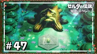 いにしえの森のぼうけん【ゼルダの伝説_知恵のかりもの】＃47