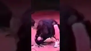 Eddie Vedder SMASHES A Hole In The Stage! (April 1994)