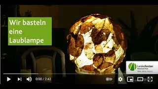Wir basteln eine Laublampe
