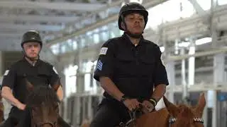 CPD Mounted Unit
