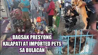 BAGSAK PRESYONG KALAPATI AT IMPORTED PETS SA GROTTO BULACAN