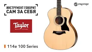 Инструмент говорит сам за себя - Taylor 114e 100 Series