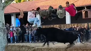 Maillane - Encierro - 28/10/2023
