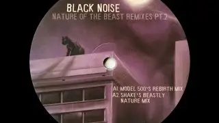 Black Noise - Nature Of The Beast ( Model 500's Rebirth Mix )