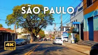 Dirigindo pelas Vilas Penteado, Bancária e Albertina 4K 60FPS | São Paulo BRASIL