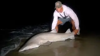 Shark Fishing the Jersey Shores!! (4 days in New Jersey)