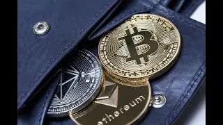 Ethereum XRP Making Gains on Bitcoin in Crypto Pay Stakes &ndash; BitPay Stats