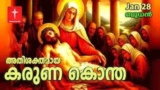 കരുണ കൊന്ത | 28th January 2026 | Day 28 Divine Mercy Chaplet Powerful Healing Prayer | #karunakontha