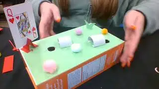 Mini Croquet Court!