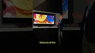 World&rsquo;s Brightest & Most Colorful OLED Monitor!
