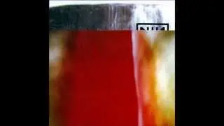 Nine Inch Nails- Somewhat Damaged