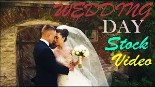 Wedding Day   Free HD Stock Footage No COPYRIGHT