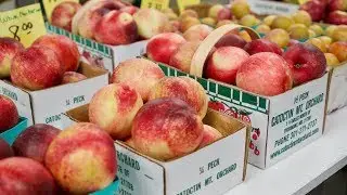 Catoctin Mountain Orchard in 4k UHD