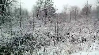Snow by the Lake ,Griffith Indiana