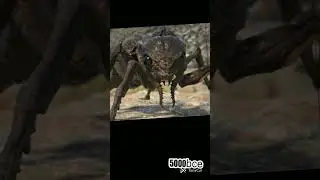 #youtubeshorts  ant evolution #short