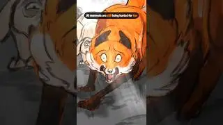 This will End Hunting for Good (comments for petition) #animation #foxhunting #hunting #ukwildlife