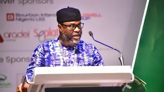 Senator Joel-Onowakpo Thomas Calls Out Chevron, Sahara Group for Abusing Local Content Laws #foryou