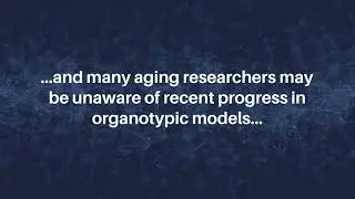 Organotypic Cultures as Aging-Associated Disease Models | Aging-US