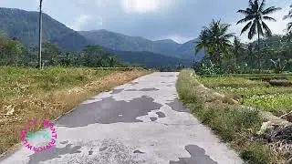 Jalan Babakan,Desa Sindangwangi (dari Pertigaan Cipancur) Kec.Bantarkawung,Brebes