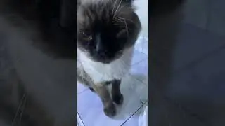 tada la vida es 💤